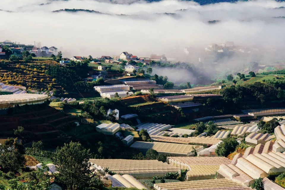 Nông sản & vật tư nông nghiệp